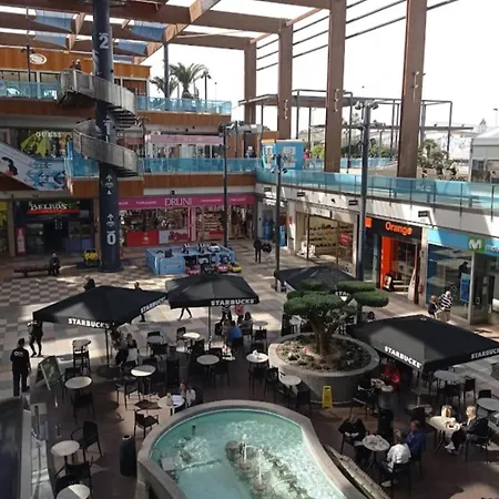 Feliz Acepto Mascotas Torrevieja