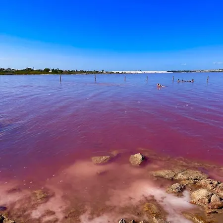 Feliz Acepto Mascotas Feriehus Torrevieja