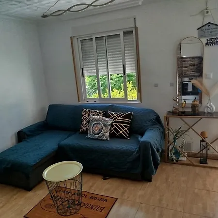 Feliz Acepto Mascotas Torrevieja